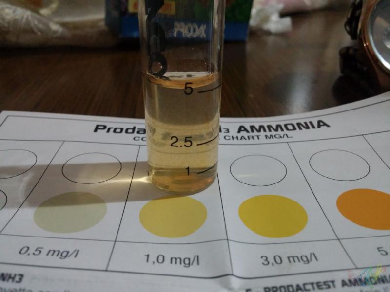 Amonyak Özellikleri ve Faydaları Nelerdir?