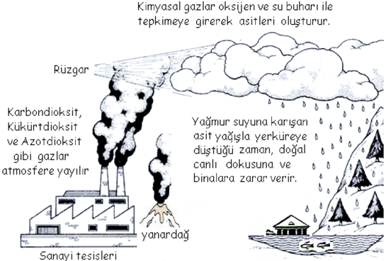 Asit Yamurlarnn Oluumu